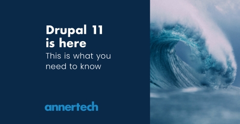 Drupal 11 is here. This is what you need to know