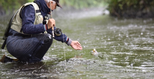 A fisherman catches a fish in a river in Ireland