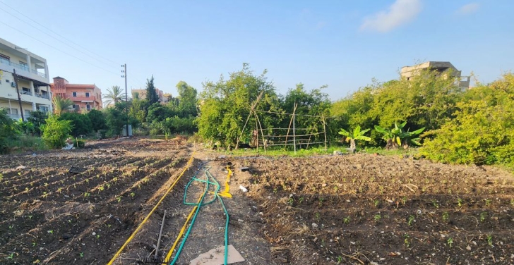 The garden at Sikka features many crops and trees