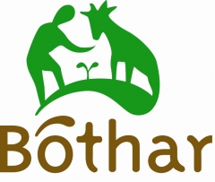 Bóthar