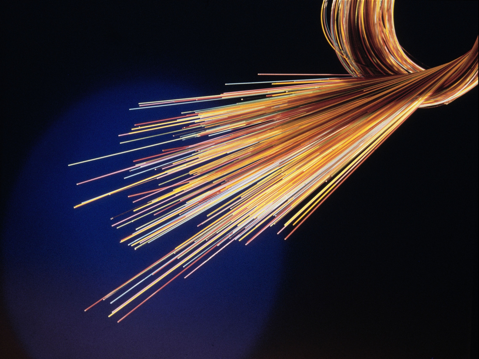 A section of fibre optic cable is foreground against a dark background